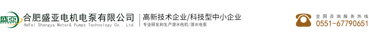 合肥盛亚电机电泵有限公司